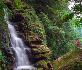 碧峰峽、上里古鎮(zhèn)二日游