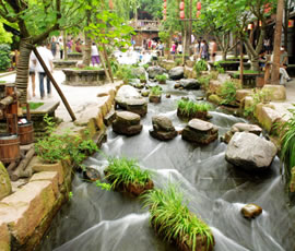 千年水碼頭、古鎮(zhèn)黃龍溪一日游