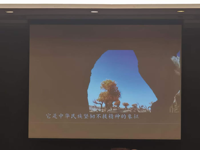 綿陽中旅行假日旅行社舉行胡楊林、南疆專列推薦會(huì)